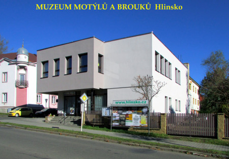 Muzeum motýlů a brouků Hlinsko - 2025 - nový stav